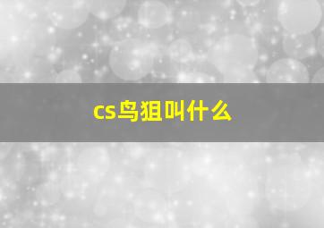 cs鸟狙叫什么