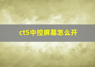 ct5中控屏幕怎么开