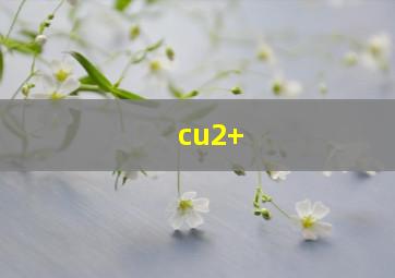 cu2+