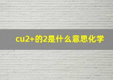 cu2+的2是什么意思化学