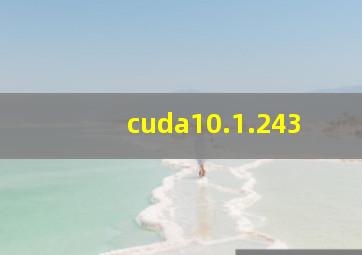 cuda10.1.243