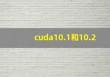 cuda10.1和10.2