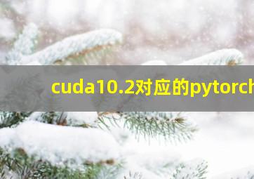 cuda10.2对应的pytorch