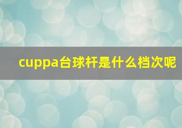 cuppa台球杆是什么档次呢