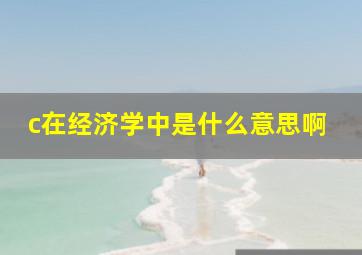 c在经济学中是什么意思啊