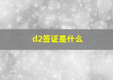 d2签证是什么