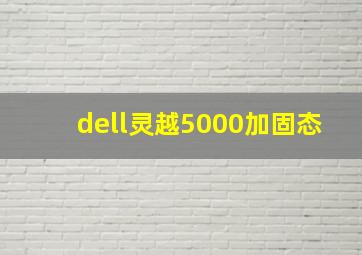 dell灵越5000加固态