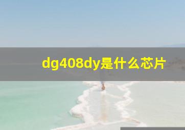 dg408dy是什么芯片