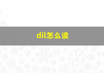 dil怎么读