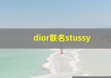 dior联名stussy