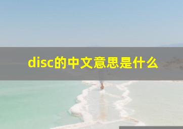 disc的中文意思是什么