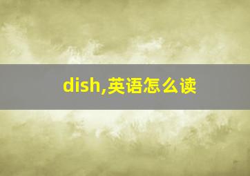 dish,英语怎么读