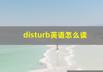 disturb英语怎么读