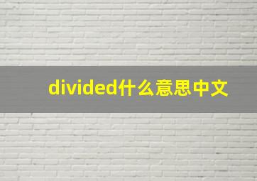 divided什么意思中文