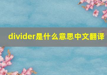 divider是什么意思中文翻译