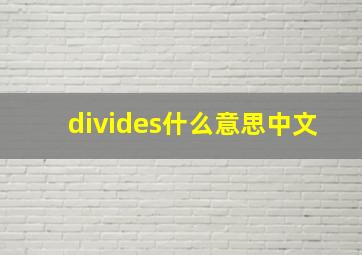 divides什么意思中文