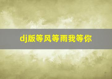 dj版等风等雨我等你