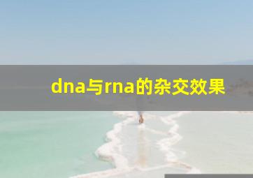 dna与rna的杂交效果