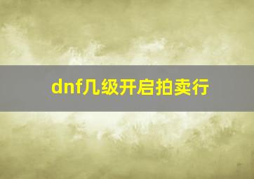 dnf几级开启拍卖行