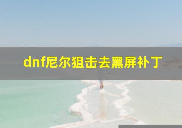 dnf尼尔狙击去黑屏补丁