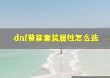 dnf普雷套装属性怎么选