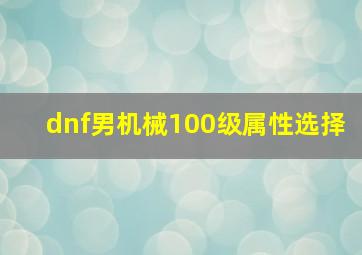 dnf男机械100级属性选择