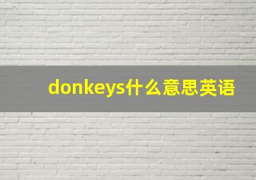 donkeys什么意思英语