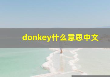 donkey什么意思中文