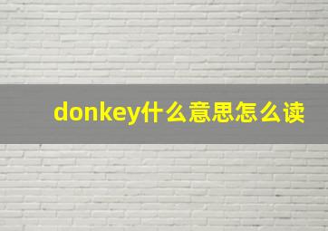 donkey什么意思怎么读