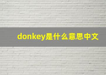 donkey是什么意思中文