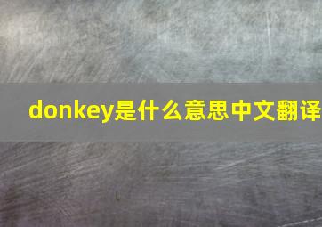 donkey是什么意思中文翻译