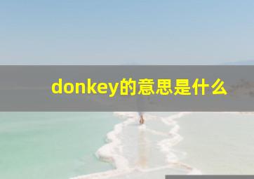 donkey的意思是什么