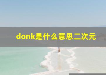 donk是什么意思二次元