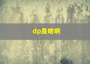 dp是啥啊