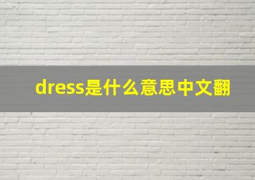 dress是什么意思中文翻