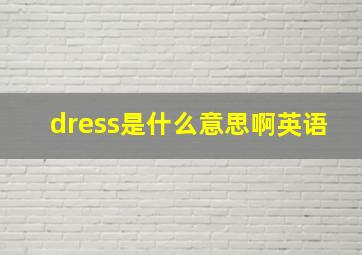 dress是什么意思啊英语