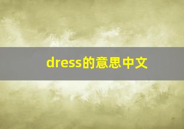 dress的意思中文