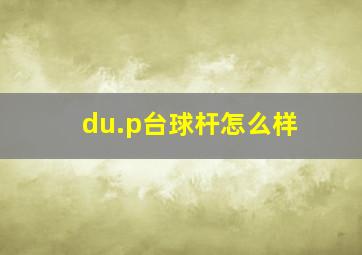 du.p台球杆怎么样