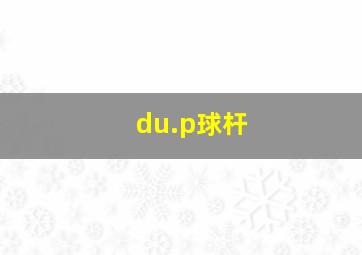 du.p球杆