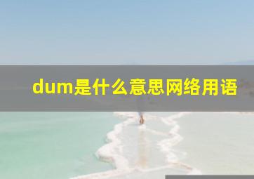 dum是什么意思网络用语