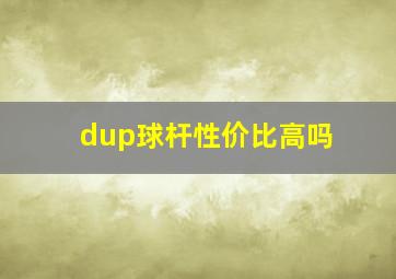 dup球杆性价比高吗