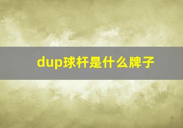 dup球杆是什么牌子