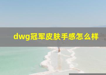 dwg冠军皮肤手感怎么样