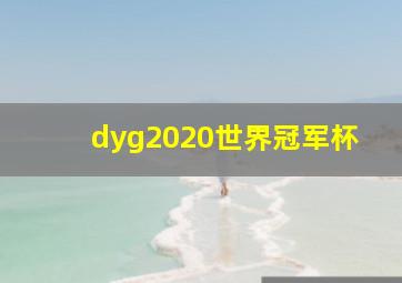 dyg2020世界冠军杯