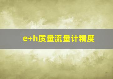 e+h质量流量计精度