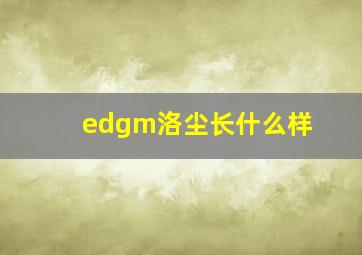 edgm洛尘长什么样