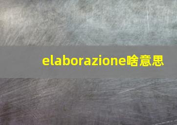 elaborazione啥意思