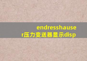 endresshauser压力变送器显示disp