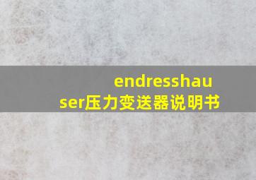 endresshauser压力变送器说明书