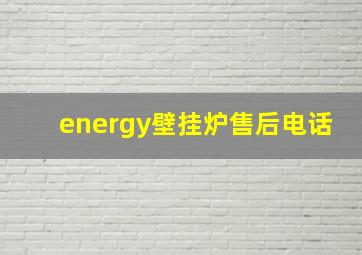 energy壁挂炉售后电话